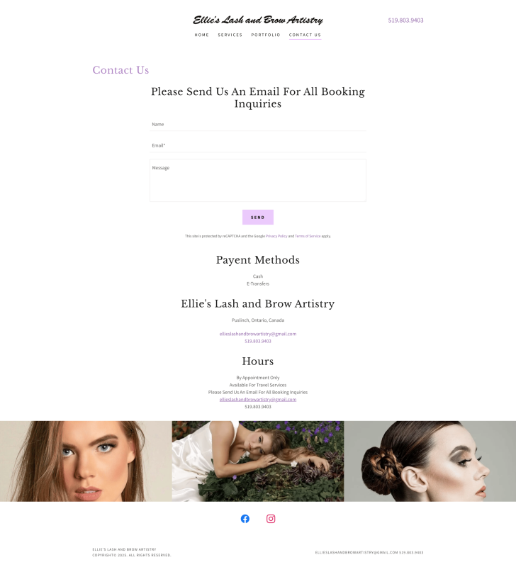 Ellies lash and brow artistry website design